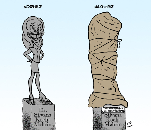 Cartoon: metamorphose der koch-mehrin (medium) by elke lichtmann tagged silvana,koch,mehrin,statue,doktor,doctorate,package,forschungsausschuss,eu,ausschuss