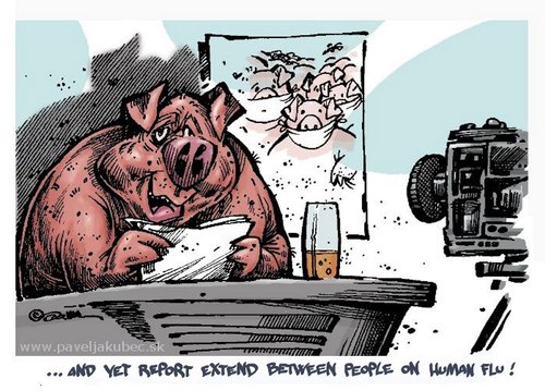 Cartoon: SWINE FLU (medium) by toon tagged swine,flu,world,global,animals,art