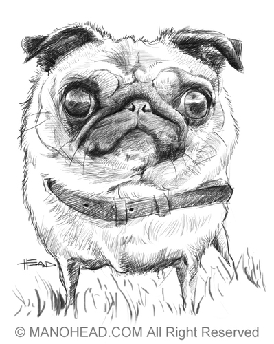 Cartoon: Pug (medium) by manohead tagged caricatura,caricature,manohead