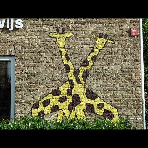 Cartoon: MH - City Giraffes (medium) by MoArt Rotterdam tagged rotterdam,animal,dier,giraffe,muur,wall,wallpainting,muurschildering