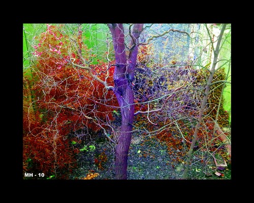 Cartoon: MH - Color Ecstasy (medium) by MoArt Rotterdam tagged color,ecstasy,fantasticcolors