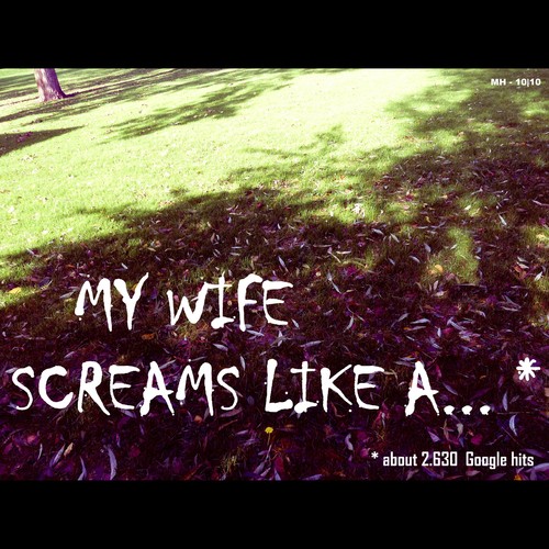 Cartoon: MH - My wife screams like a... (medium) by MoArt Rotterdam tagged google,googlehits,wife,husband,married,marriage,maritalissues,scream,mywifescreams,manandwife