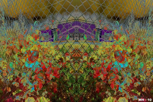 Cartoon: MH - Psychedelic Flower Fest (medium) by MoArt Rotterdam tagged flowers,flowerfest,pshychedelic