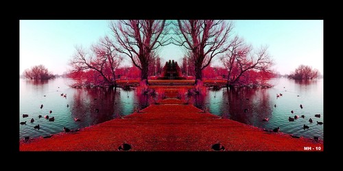 Cartoon: MH - Red Island (medium) by MoArt Rotterdam tagged red,island,ducks,tree