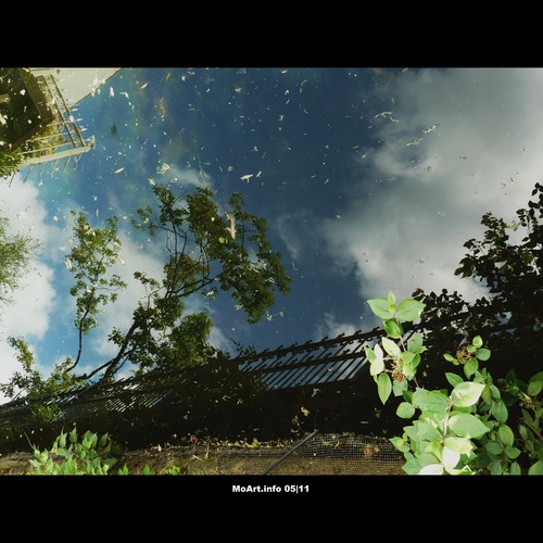 Cartoon: MH - Something in the Water 11 (medium) by MoArt Rotterdam tagged tags,rotterdam,moart,moartcards,water,reflectie,reflection,weerspiegeling