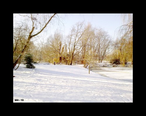 Cartoon: MH - The Frozen Lake (medium) by MoArt Rotterdam tagged winter,snow,ice,frozen,lake,frozenlake