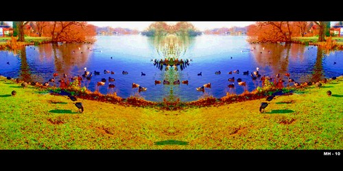 Cartoon: The Grand Gathering of Ducks (medium) by MoArt Rotterdam tagged fantasy,gather,gathering,grandgathering,ducks,lake,lakeside