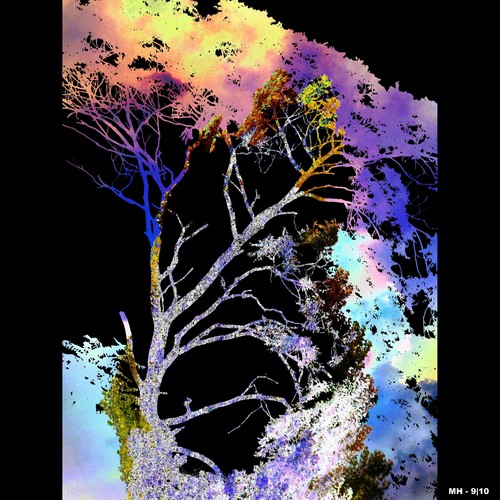Cartoon: MH - The Joyful Tree (medium) by MoArt Rotterdam tagged tree,boom,vrolijk,joyful,happy,monter,zonnig,opgewekt,colorful