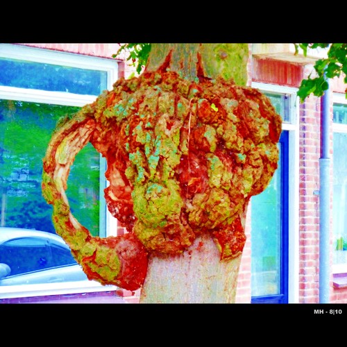 Cartoon: MH - The Tumerous Tree (medium) by MoArt Rotterdam tagged rotterdam,tree,boom,tumour,tumor,disease,ziekte,treebizarre