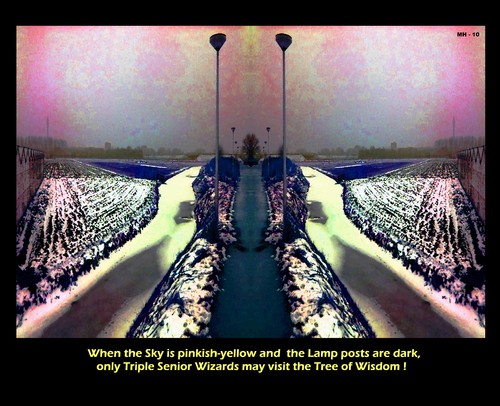 Cartoon: When to Visit the Tree of Wisdom (medium) by MoArt Rotterdam tagged tree,wisdom,treeofwisdom,visit,seniorwizard,sky,pinkishyellow,lamppost