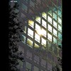 Cartoon: MH - Birth of the Sun! (small) by MoArt Rotterdam tagged rotterdam,sun,zon,geboorte,birth,office,kantoor,ramen,windows