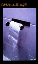 Cartoon: MH - Challenge (small) by MoArt Rotterdam tagged challenge,lastpaper,tricky