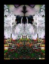 Cartoon: MH - Garden of Eden (small) by MoArt Rotterdam tagged garden,colors,eden,gardenofeden