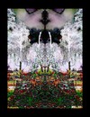 Cartoon: MH - Garden of Eden (small) by MoArt Rotterdam tagged garden,colors,eden,gardenofeden