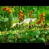 Cartoon: MH - Just Blending I (small) by MoArt Rotterdam tagged heron,reiger,flowers,bloemen,blending,mixen