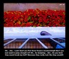 Cartoon: MH - Mesmerizing Flowers (small) by MoArt Rotterdam tagged flowers,mesmerizing,jim,look,jumpstraightin,tempting,breakmyfall