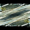 Cartoon: MH - Mushroom Vision (small) by MoArt Rotterdam tagged rotterdam,mushroom,paddestoel,paddovision,paddogebruik,mushroomeffect,weird,weirdvision,realornot,fantasie,raar