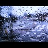 Cartoon: MH - Rainy DayZ IX (small) by MoArt Rotterdam tagged rotterdam,moart,rain,regen,regendag,rainyday,sweetrain,lovetherain,houvanregen,regenachtig,regenweer