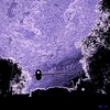 Cartoon: MH - The Bird (small) by MoArt Rotterdam tagged bird vogel nacht night purple paars wolkenhemel cloudy bewolkt fantasy