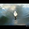 Cartoon: MH - The Careful Swan (small) by MoArt Rotterdam tagged swan,zwaan,voorzichtig,careful,water,clouds,wolken
