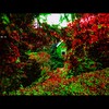 Cartoon: MH - The Green House (small) by MoArt Rotterdam tagged fantasy,green,house,greenhouse,madcolors,madgarden,mesmerizingcolors