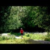 Cartoon: MH - The Running Man (small) by MoArt Rotterdam tagged rotterdam,running,jogging,man,rennen,joggen,nature,natuurschoon,trees,bomen,red,rood