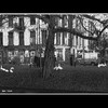 Cartoon: MH - The Swan Patrol (small) by MoArt Rotterdam tagged rotterdam,swan,swans,zwaan,zwanen,zwartwit,blackandwhite,huis,house,tree,boom