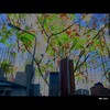 Cartoon: Mh - The Tree Survivor (small) by MoArt Rotterdam tagged rotterdam,photoblend,fotomix,tree,boom,survivor,skyline,office,kantoor,wolkenkrabbers,skyscrapers