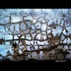 Cartoon: MH - The Wall (small) by MoArt Rotterdam tagged rotterdam,moart,muur,wall,barst,gescheurd,crack