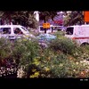 Cartoon: MH - Urban Jungle III (small) by MoArt Rotterdam tagged rotterdam,bigcity,grotestad,urban,urbanjungle,stad,stadsjungle,auto,car,streetview,straatgezicht