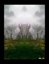Cartoon: MH -Garden of Eden II (small) by MoArt Rotterdam tagged garden,colors,eden,gardenofeden
