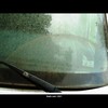 Cartoon: MoArt - Dirty Window! 5 (small) by MoArt Rotterdam tagged rotterdam,moart,moartcards,dirt,vuil,raam,window,auto,car