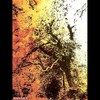 Cartoon: MoArt - The Raging Tree (small) by MoArt Rotterdam tagged rotterdam,moart,moartcards,rage,woede,tree,boom,ragingtree,nature,natuur