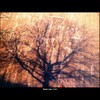 Cartoon: MoArt - The Wall 15 (small) by MoArt Rotterdam tagged rotterdam,moart,moartcards,wall,muur,boom,tree