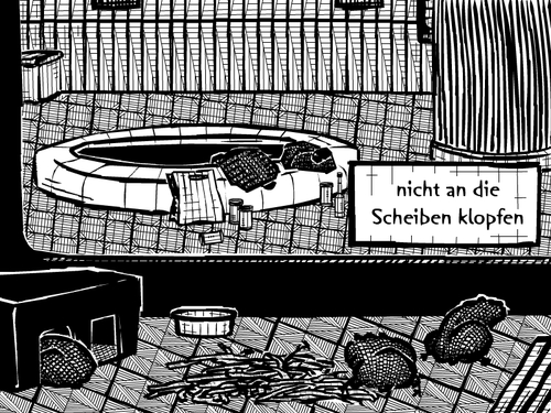 Cartoon: dahinter davor (medium) by bob schroeder tagged zoo,scheibe,handlung,geschaeft,freizeit