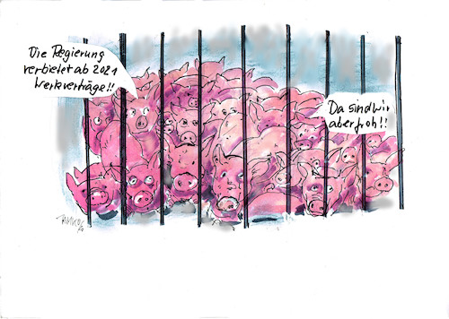 Cartoon: Schweine (medium) by Skowronek tagged fleischindusrie,schweine,schlachtung,werksverträge,billigfleisch,rinder,hühner,aldi,landwirtschft,bauern,bordell,prostitution,geld,kapitalismus,tönnies,tiere,fleisch,hildmann,vegan,vegetariergehälter