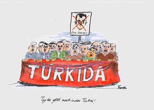 Cartoon: Türkida (medium) by Skowronek tagged pegida,cem,özemir,armenien,bundestag,türkei
