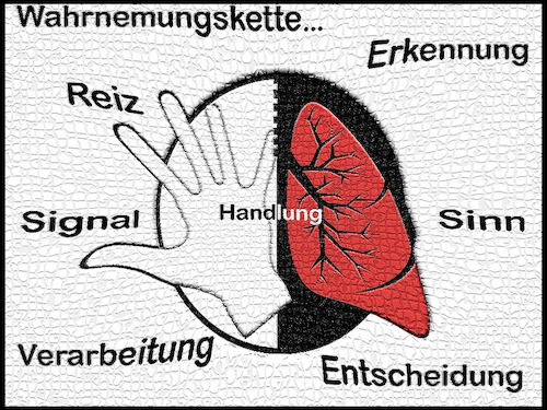 Cartoon: Deep learning- Wahrnehmungskette (medium) by Nikklaus tagged meaning,life,sinn,leben,entscheidung,verarbeitung,signal,reiz,wahrnehmung,handlung,erkennung