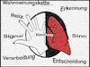 Cartoon: Deep learning- Wahrnehmungskette (small) by Nikklaus tagged meaning,life,sinn,leben,entscheidung,verarbeitung,signal,reiz,wahrnehmung,handlung,erkennung