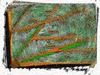 Cartoon: Fingerprint (small) by Nikklaus tagged expression,empathy,fingerprint,green,orange