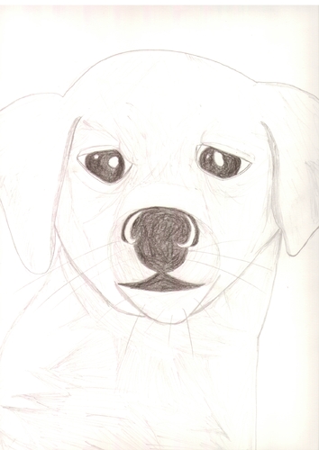 Cartoon: dog (medium) by paintcolor tagged friend,animal,dog