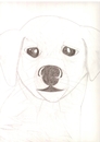 Cartoon: dog (small) by paintcolor tagged dog,animal,friend
