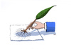 Cartoon: Die Hand 17 (small) by Mehmet Karaman tagged hand,baum