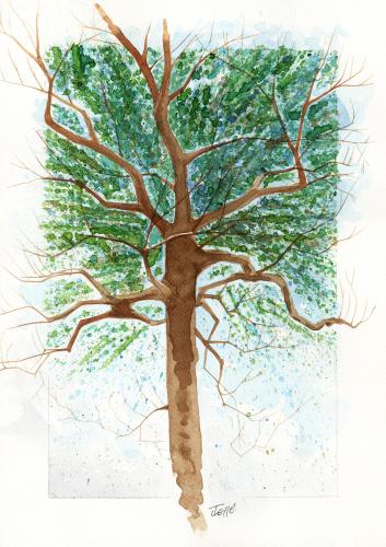 Cartoon: Tree4 (medium) by Jesse Ribeiro tagged nature,landscape,tree,watercolor,illustration