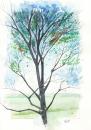 Cartoon: Tree1 (small) by Jesse Ribeiro tagged nature landscape tree watercolor illustration
