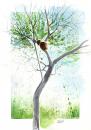 Cartoon: Tree5 (small) by Jesse Ribeiro tagged nature landscape tree watercolor illustration