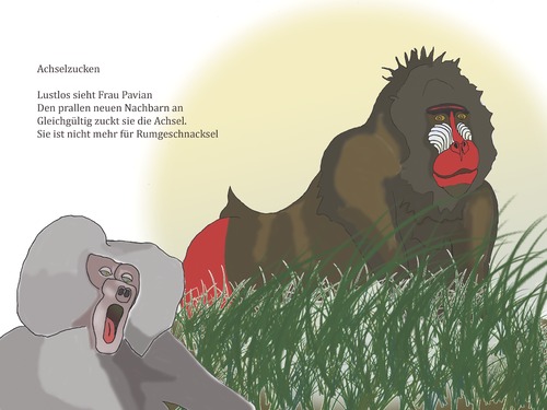 Cartoon: Achselzucken (medium) by gege tagged geschnacksel,zoo,schimpanse,affe,pavian,natur,tiere,tier