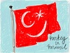 Cartoon: Turkey in turmoil (small) by Roodkapje tagged istanbul