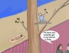 Cartoon: Birds (small) by Hezz tagged bird,vogel