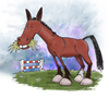 Cartoon: Leo (small) by east coast cartoons tagged cartoon,horses,horse